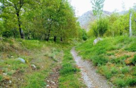 طبیعت بهاری و بارانی روستای زیبای سلطان زیرآبه