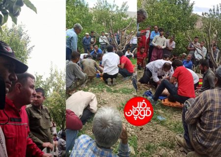 فوت جوان مقنی قوچانی در روستای گوگانلو