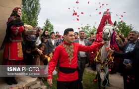 داوه‌تا کورمانجی