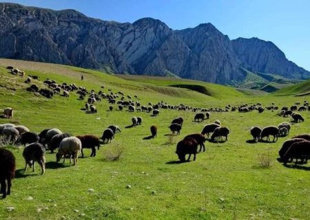 ممیزی و صدور شناسنامه برای ٣ هزار هکتار از مراتع قوچان