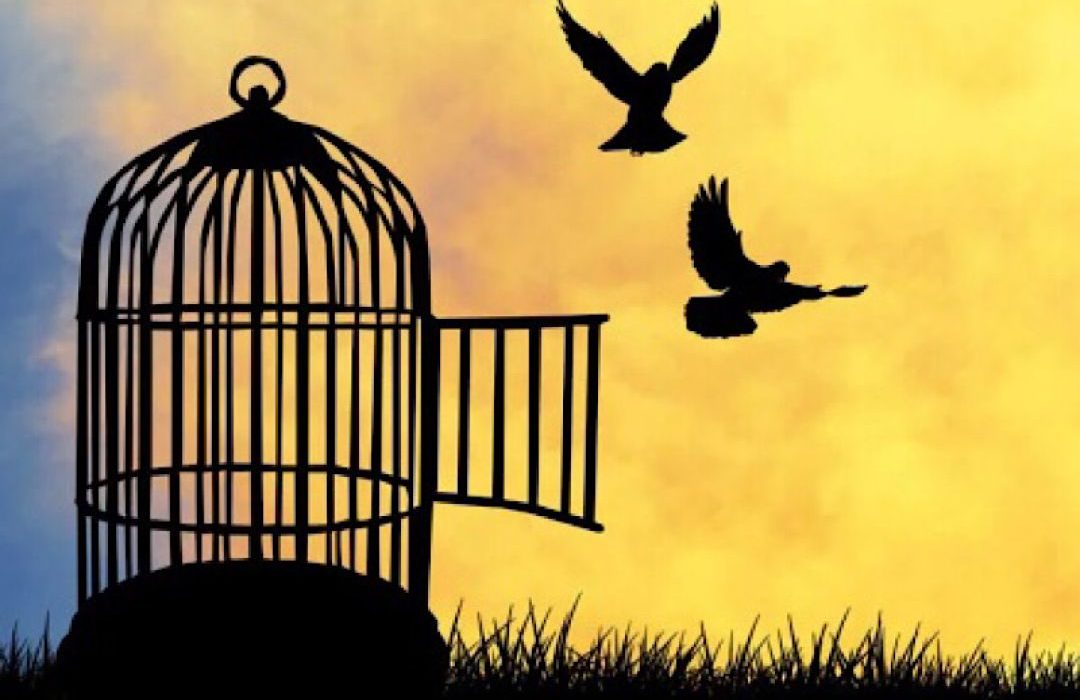 جشن گلریزان؛ فرصتی برای ترویج فرهنگ انسان‌‌دوستی
