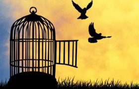جشن گلریزان؛ فرصتی برای ترویج فرهنگ انسان‌‌دوستی
