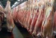 توقیف ۱۰۰ کیلوگرم گوشت غیربهداشتی در قوچان