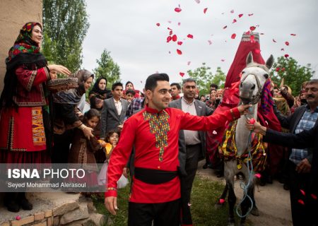 داوه‌تا کورمانجی