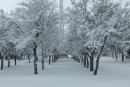بارش ۳۲ سانتی‌متر برف در شهرستان قوچان
