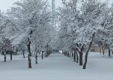 بارش ۳۲ سانتی‌متر برف در شهرستان قوچان